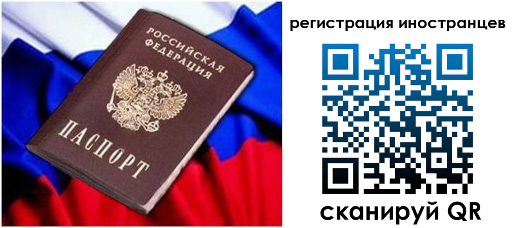 прописка для школы в Ртищево